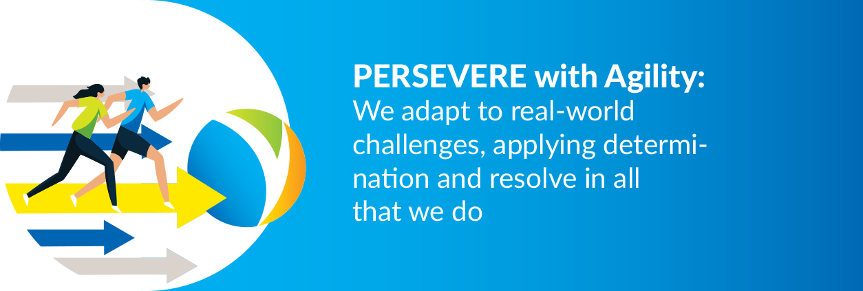 Value Persevere With Agility
