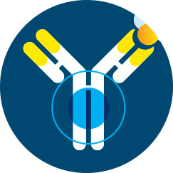 Icon: Precise control of target biology