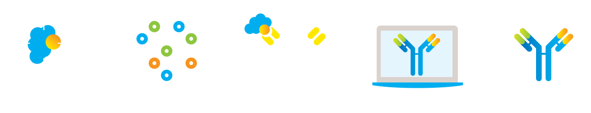 Approach infographic